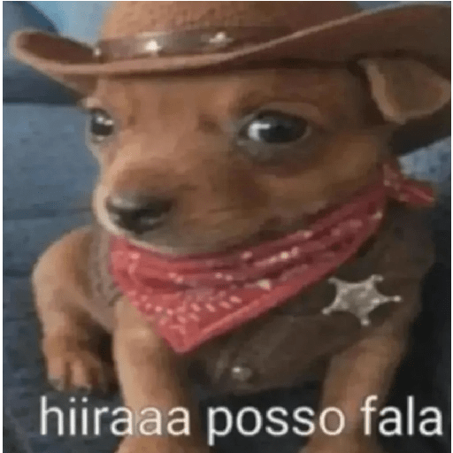 Oi posso fala 2.0 6