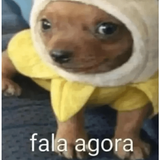 Oi posso fala 2.0 7