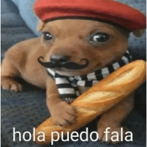 Oi posso fala 2.0 8