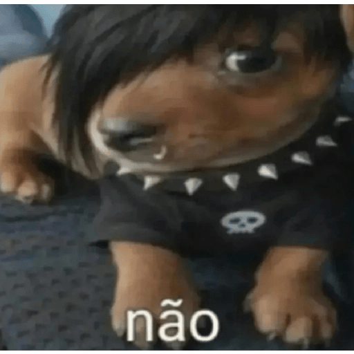 Oi posso fala 2.0 11