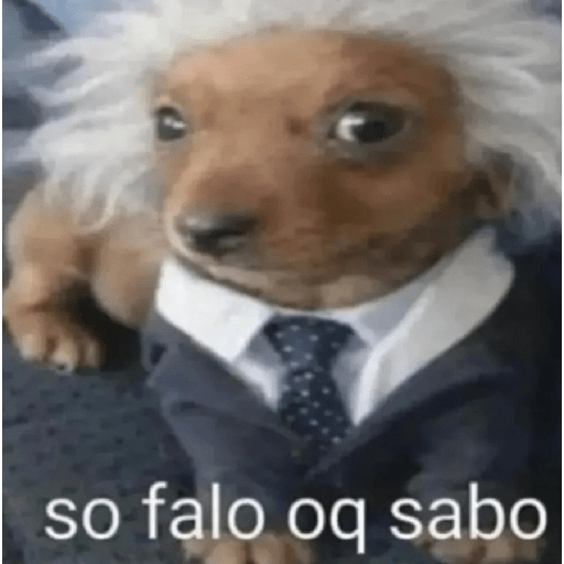 Oi posso fala 2.0 12