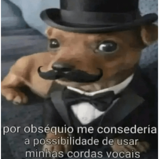Oi posso fala 2.0 14