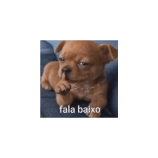 Oi posso fala 2.0 16