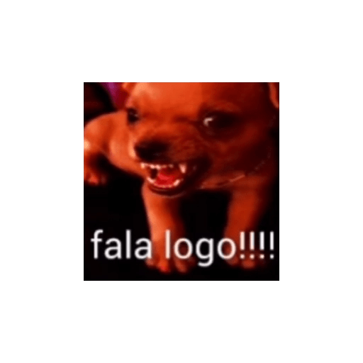 Oi posso fala 2.0 17