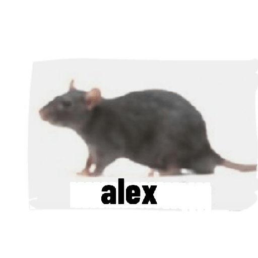 Alex 🤠😈