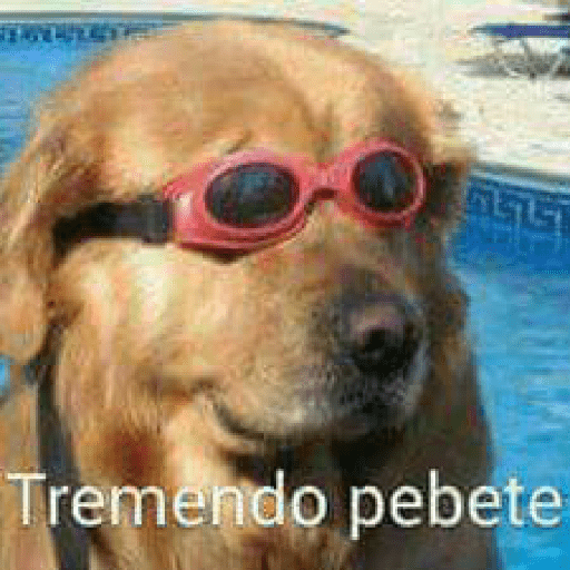 Puto el que lea 3