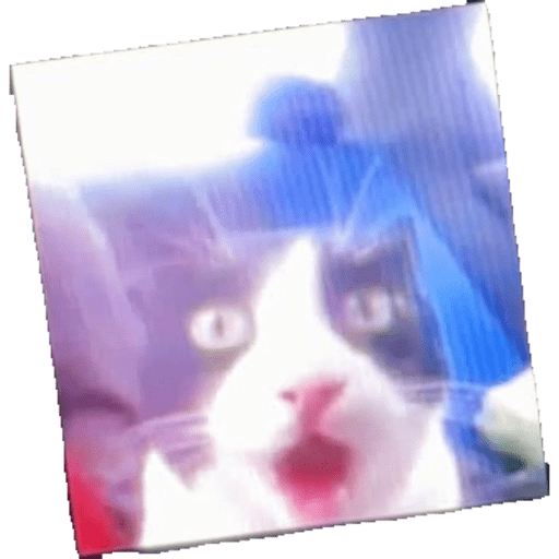 Omg en plan holly shet 16