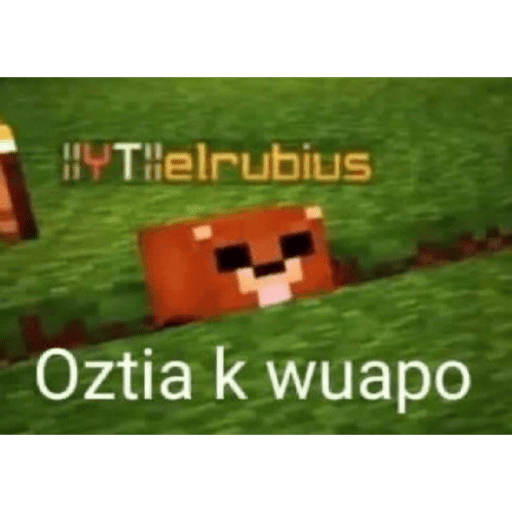 Omg en plan holly shet 10