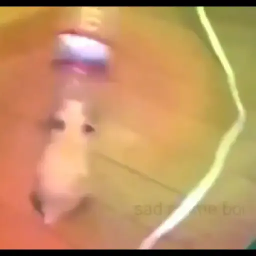 S̆̈j̆̈k̆̈s̆̈b̆̈s̆̈k̆̈s̆̈ 3