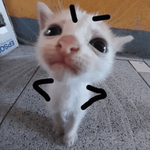 Zorras putas