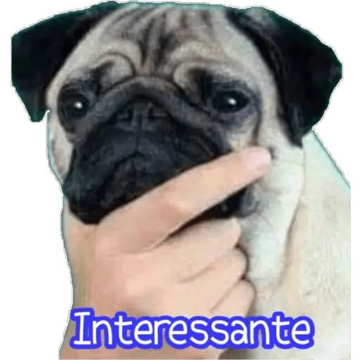 Variadas 5