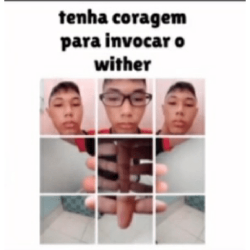 Bem vindo ao minecraft  2 13