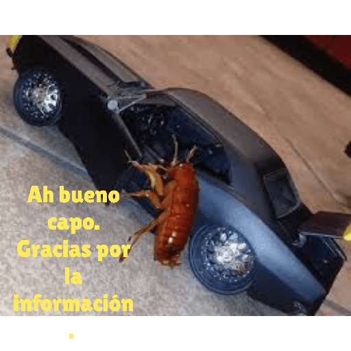Petolimpero 1