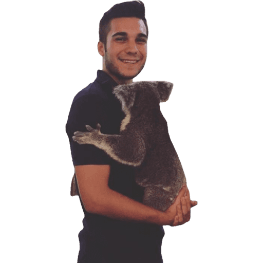 Memetek 4 9