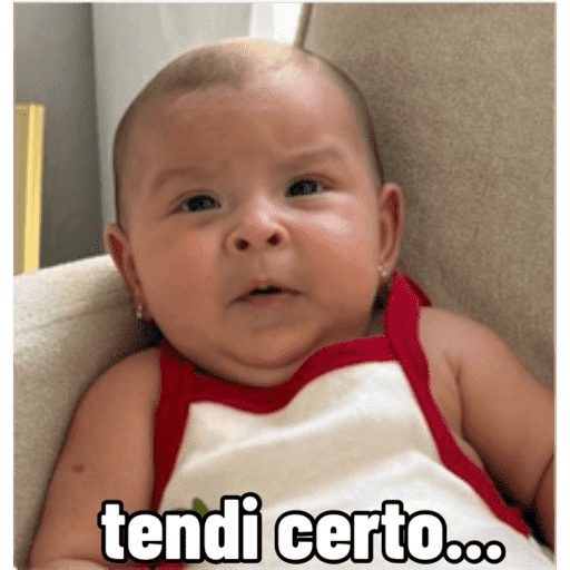 Dinda MH 17