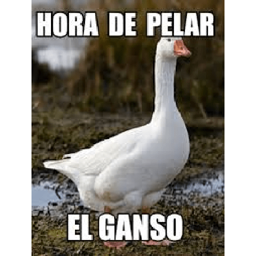 XD#10 3