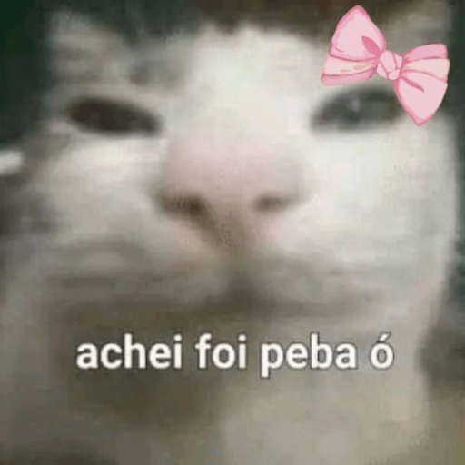 Nori 5