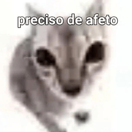 Nori 10