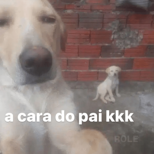 Nori 12