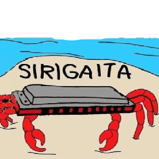 Meu 15