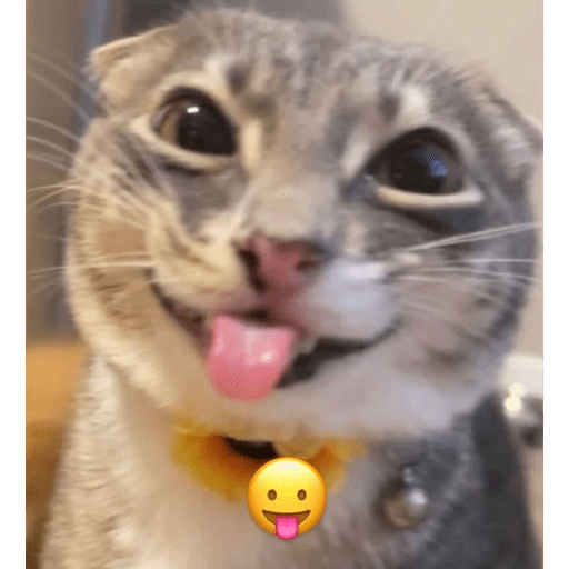 Random stickers I 6