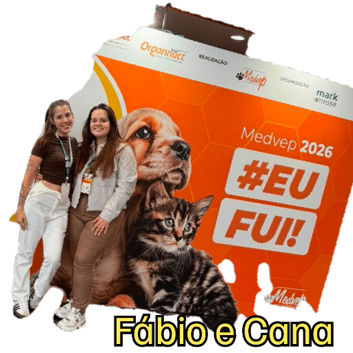 Minhas figurinhas 11