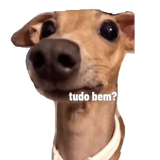 To com ciúmes porra 2