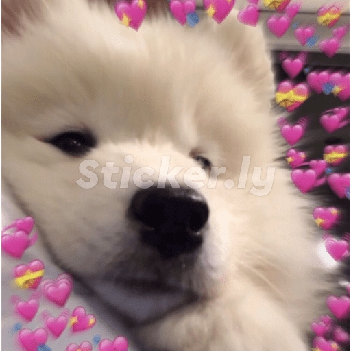 To com ciúmes porra 15
