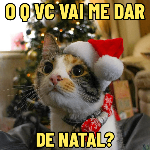 GATINHOS NATALINOS 🎄🐈 11
