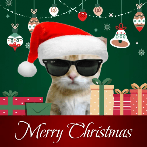 GATINHOS NATALINOS 🎄🐈 10