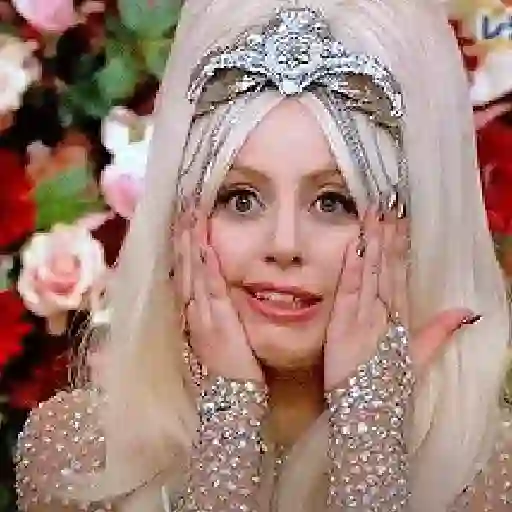 LADY GAGA...ELA VEEEEM 🙋🏼‍♀️ 12