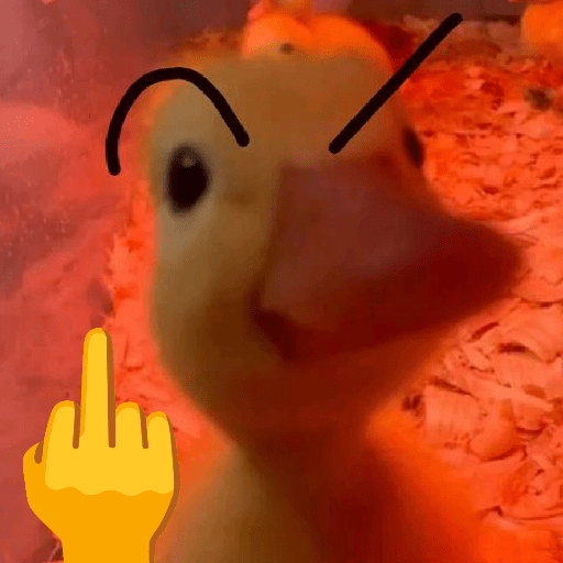 PATINHOS EXPRESSIVOS 🐥🦆 14