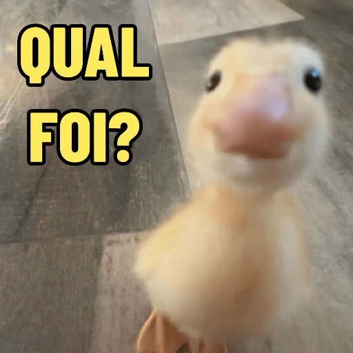 PATINHOS EXPRESSIVOS 🐥🦆 5