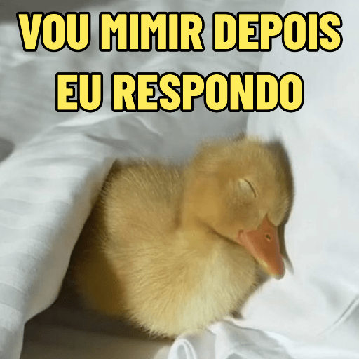 PATINHOS EXPRESSIVOS 🐥🦆 4