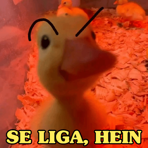 PATINHOS EXPRESSIVOS 🐥🦆 2