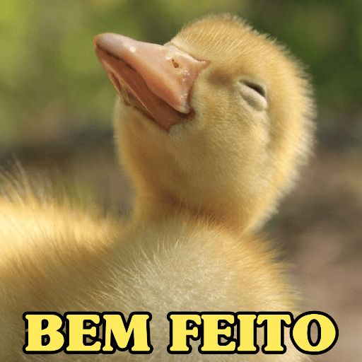 PATINHOS EXPRESSIVOS 🐥🦆 13