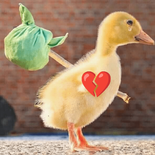 PATINHOS EXPRESSIVOS 🐥🦆 11