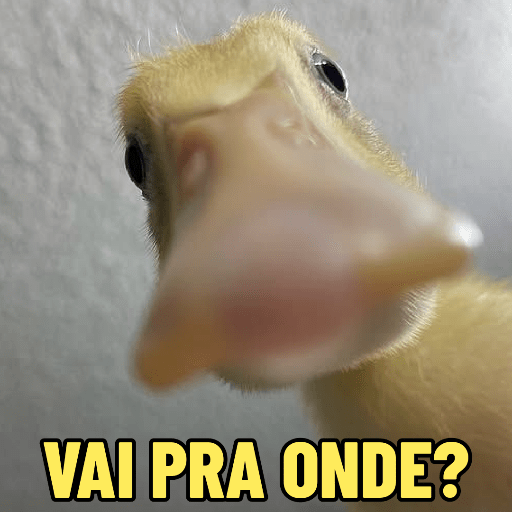 PATINHOS EXPRESSIVOS 🐥🦆 10