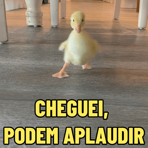 PATINHOS EXPRESSIVOS 🐥🦆 15