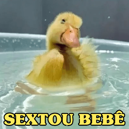 PATINHOS EXPRESSIVOS 🐥🦆 16