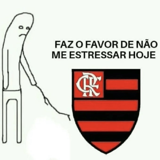 MEMES DO MENGÃO ⚽ 14