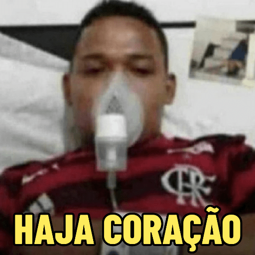 MEMES DO MENGÃO ⚽ 9