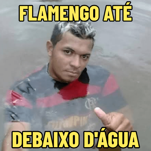 MEMES DO MENGÃO ⚽ 13