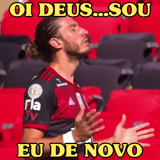MEMES DO MENGÃO ⚽ 15