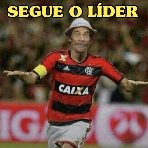MEMES DO MENGÃO ⚽ 16