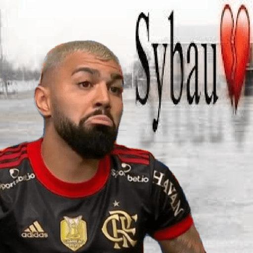 MEMES DO MENGÃO ⚽ 4