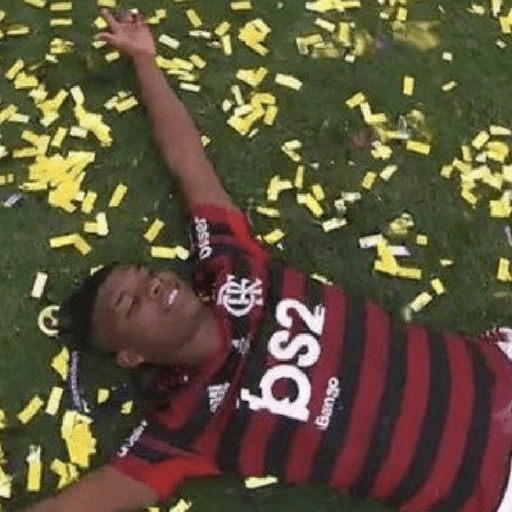 MEMES DO MENGÃO ⚽ 12