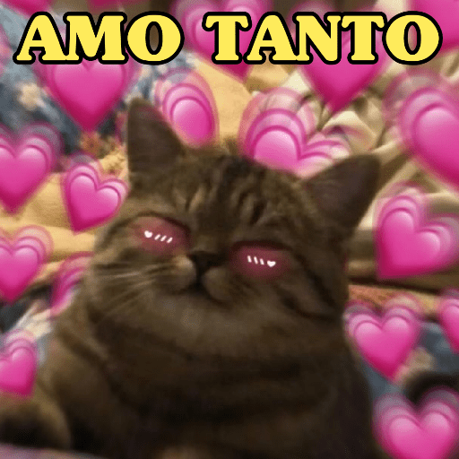 MUITO AMOR ENVOLVIDO ❤️ 9