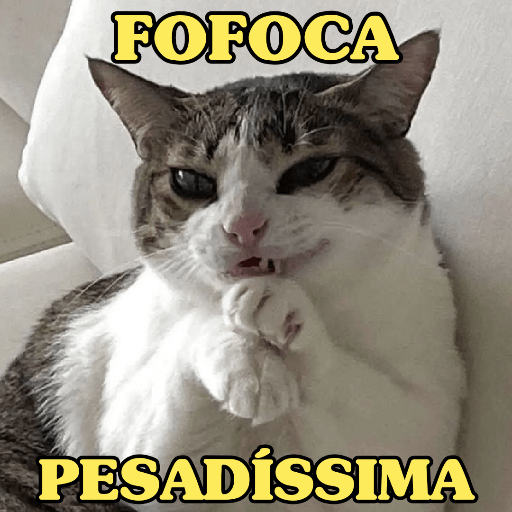 TEM FOFOCA? 🫣😬 14