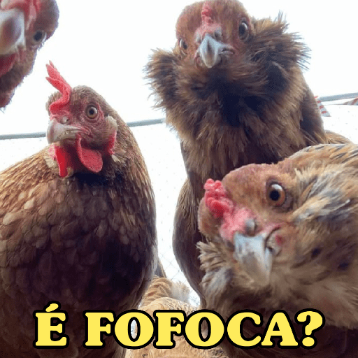 TEM FOFOCA? 🫣😬 4